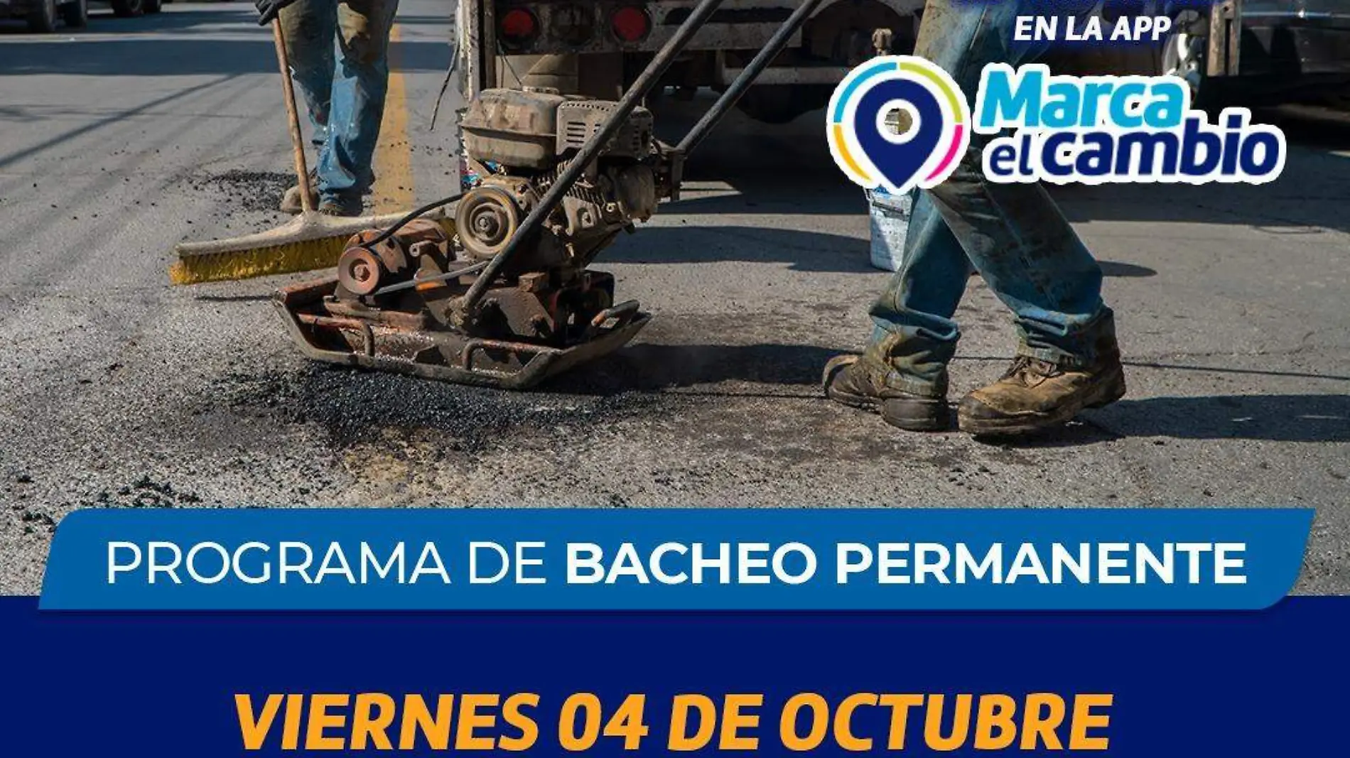 BACHES